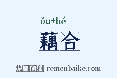 藕合是什么意思的图片